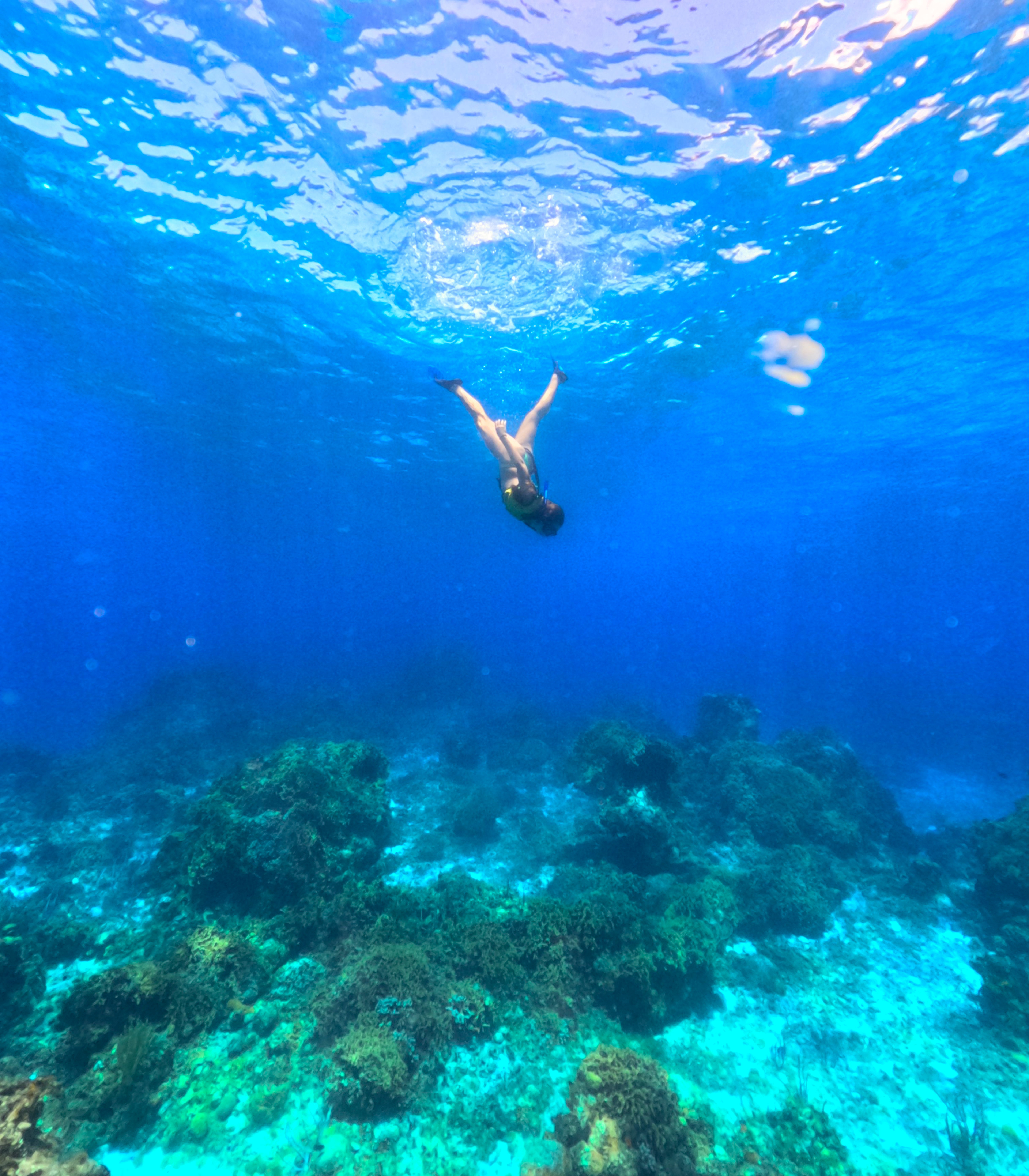 Cozumel 1