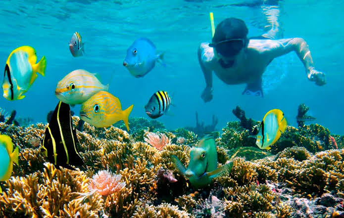 Isla Contoy 1
