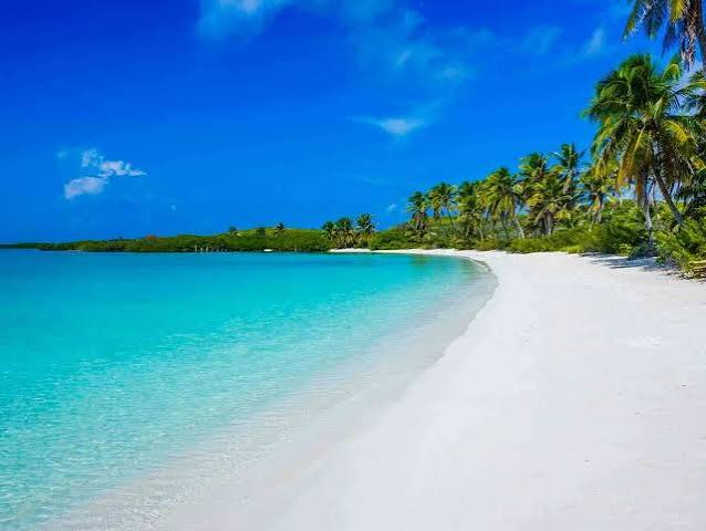 Isla Contoy 3