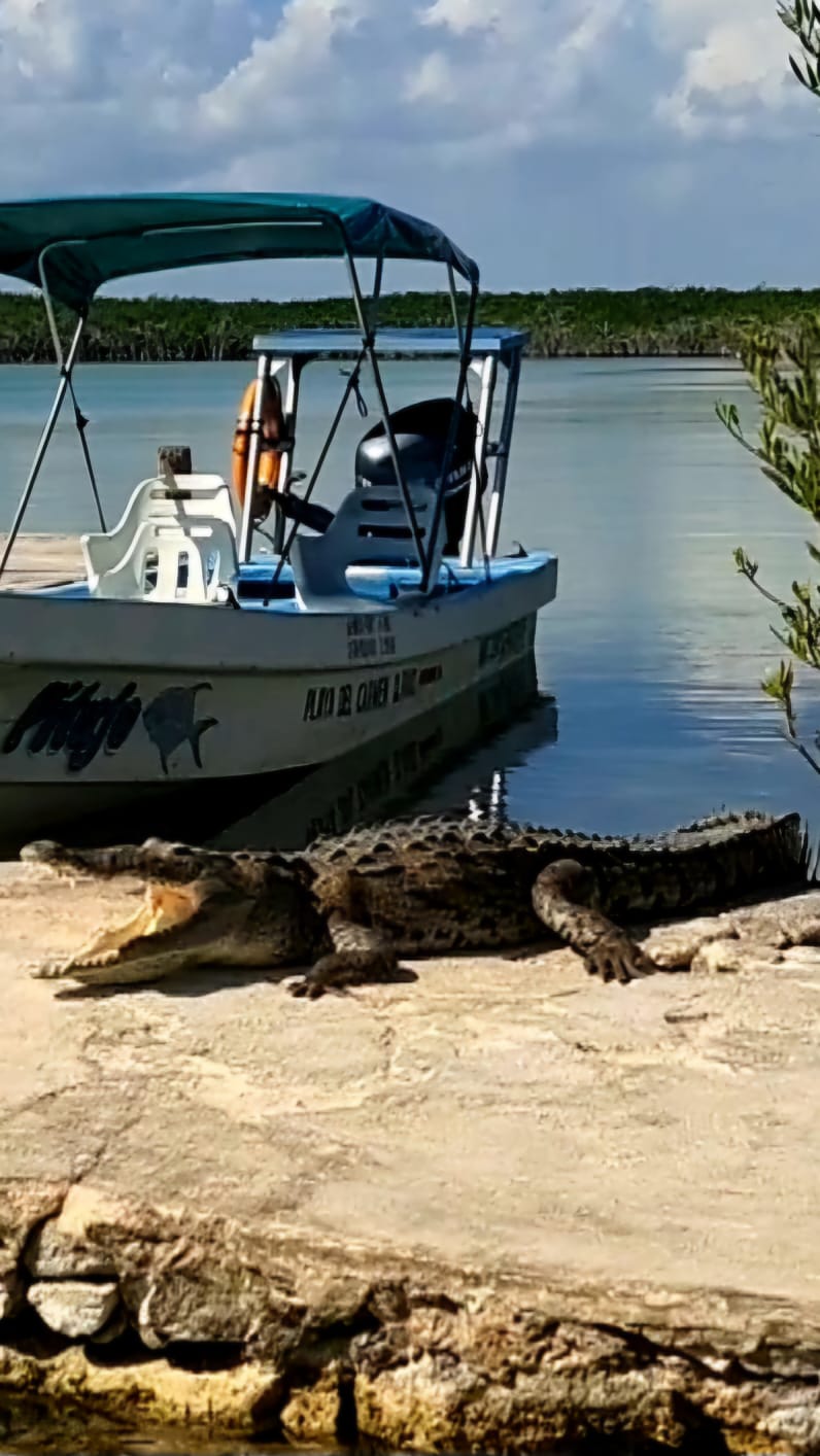 Sian Ka'an Safari Boat 4