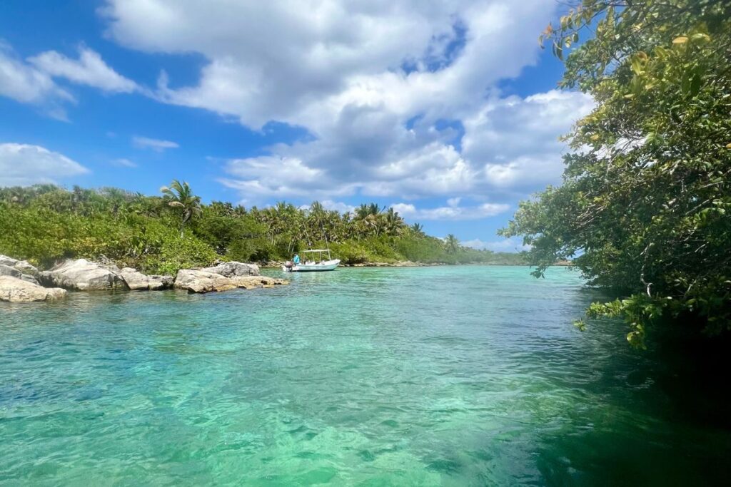 yal-ku-lagoon-private-tour-akumal-wild-tours-only 1 (2)